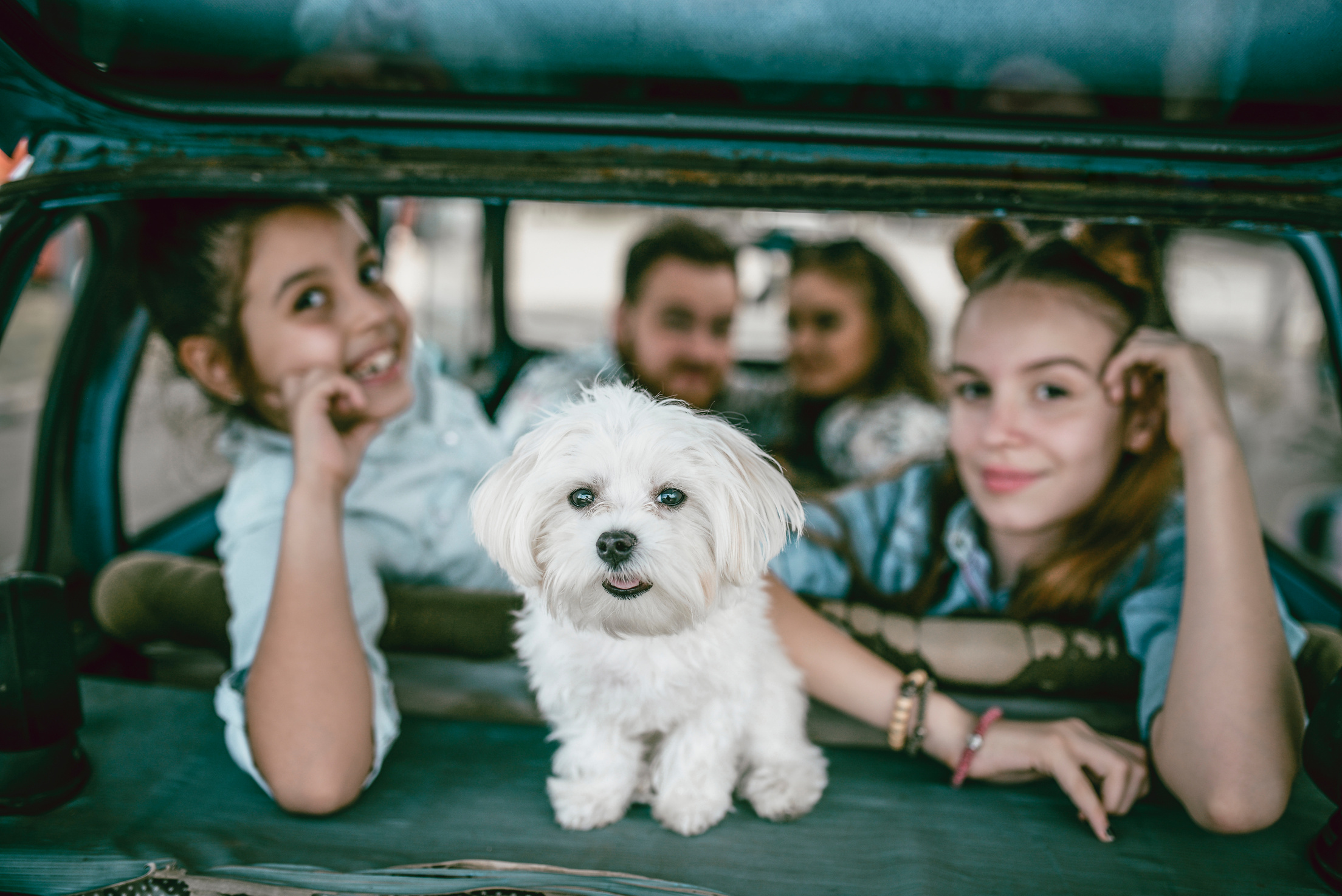 Happy Family Riding In Car With Pet Puppy