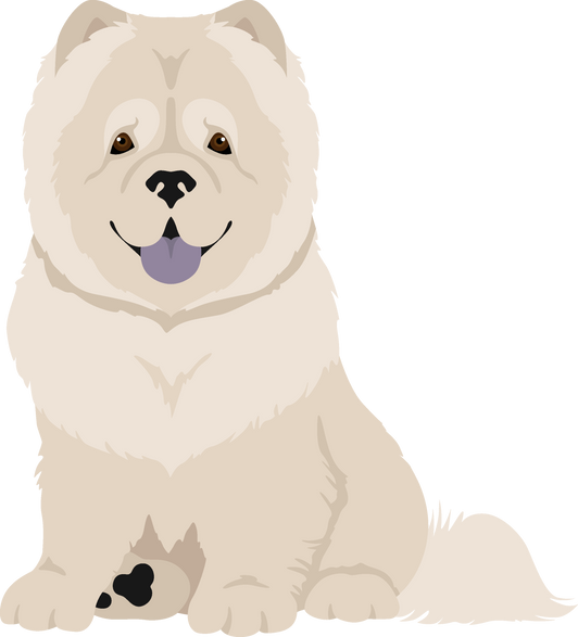 Chow Chow Longhaired Variety Clipart. Different Poses, Coat Colors Set