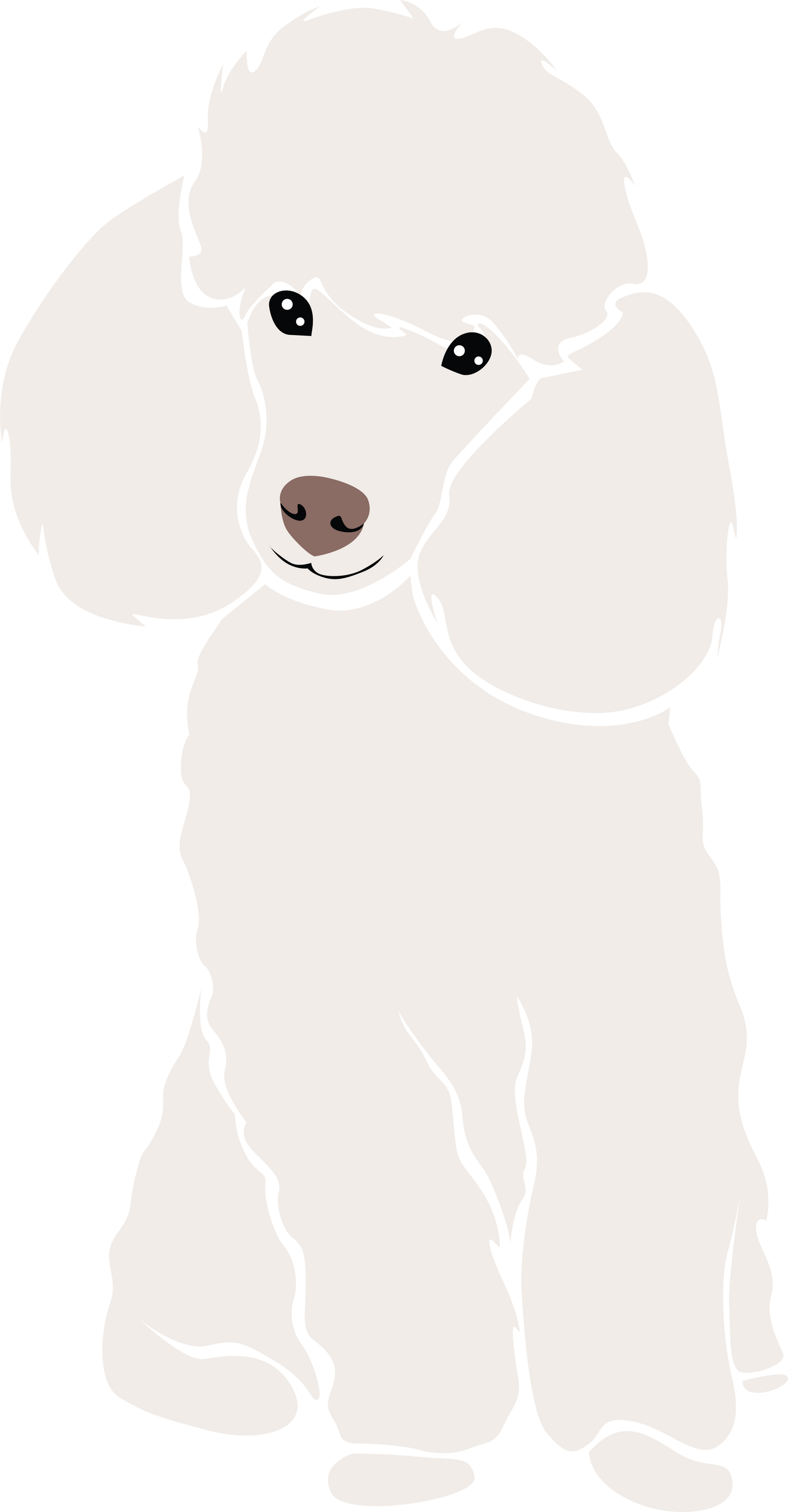 Poodle Dog Illustration